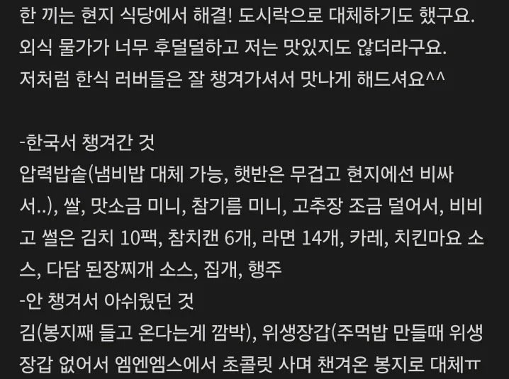 글 마지막에 정리해 둔 「한국서 챙겨간 것」 목록 (커뮤니티 게시물 캡처)