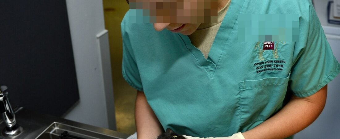 2만 원 들고 동물병원 앞에서 서성인 초등학생 3명, 빵 봉지 안에는
