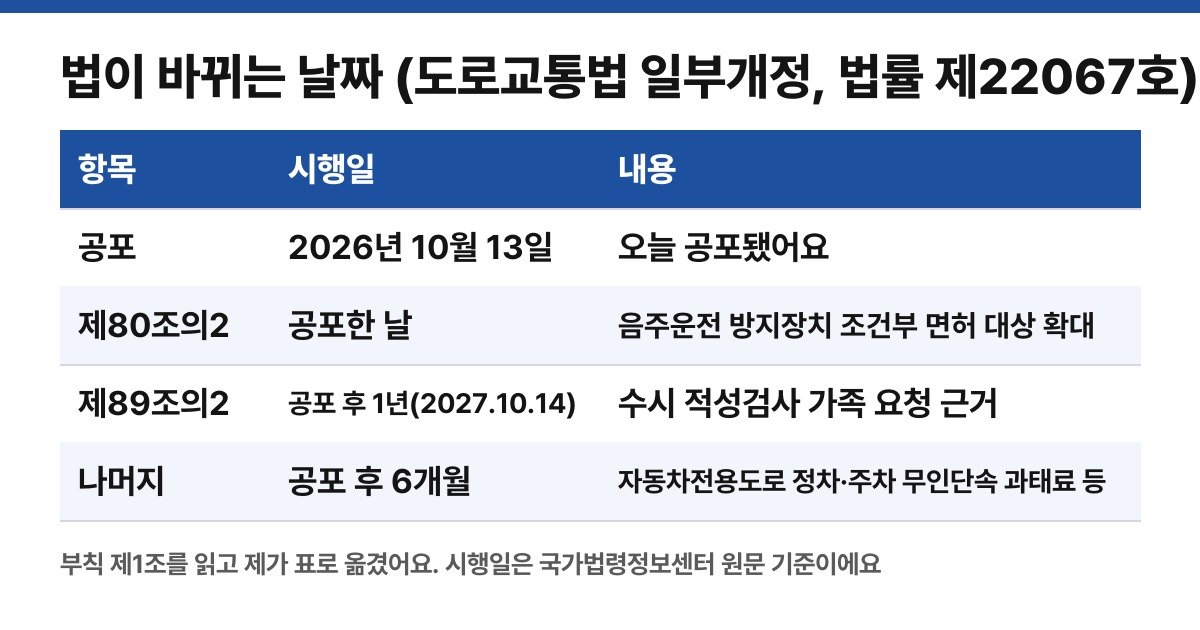 부칙을 읽고 직접 만든 시행일 표