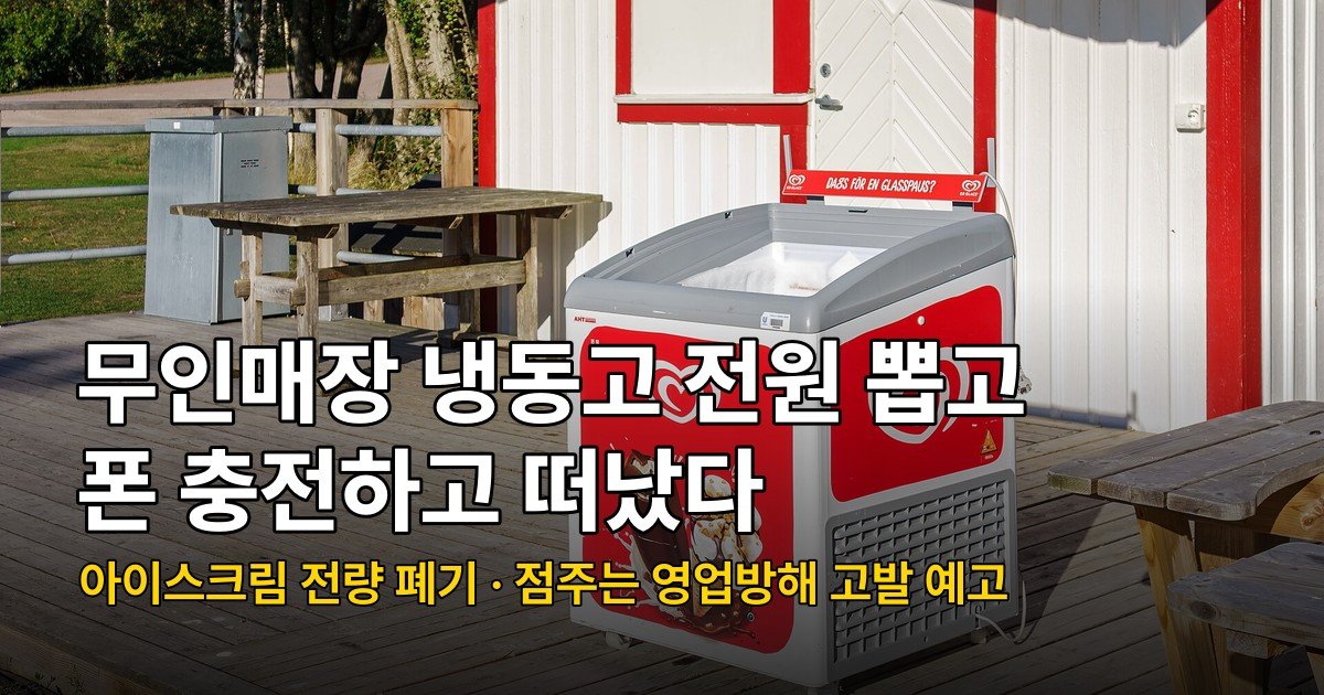 무인 아이스크림 매장 냉동고 전원 뽑고 폰 충전, 전기 절도 6년 이하 징역