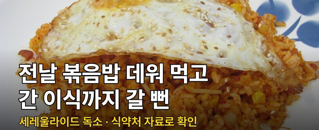 볶음밥 재가열도 위험, 135℃에도 버티는 포자 때문에 간 이식 위기까지