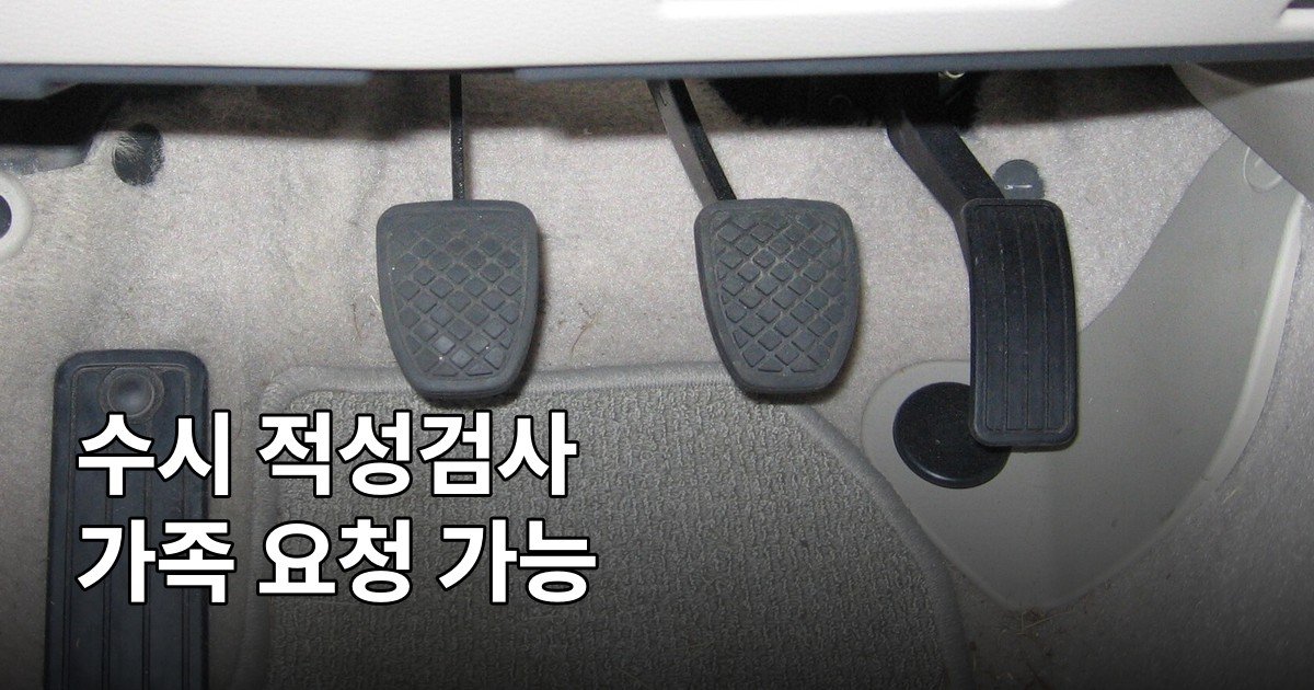 수시 적성검사 가족 요청, 도로교통법 개정으로 2027년 10월 시행
