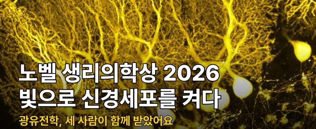 노벨 생리의학상 2026, 조류 단백질로 신경을 켜는 광유전학 3인 수상