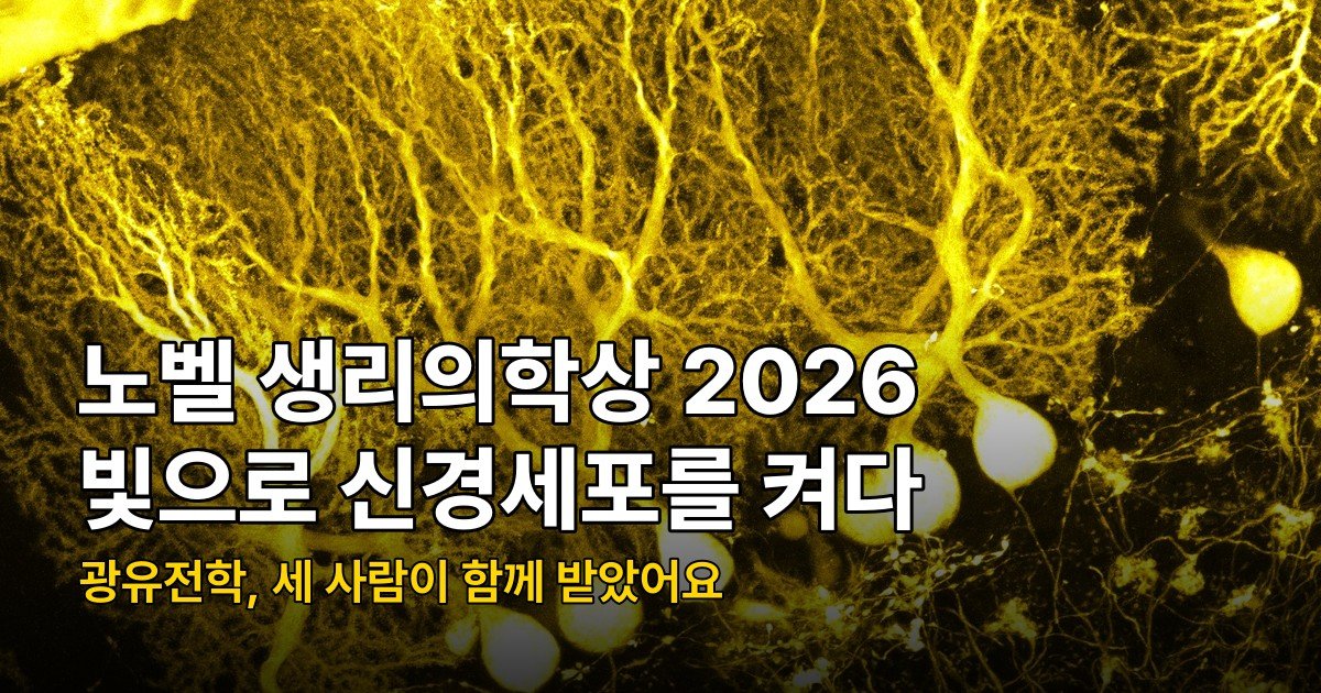 노벨 생리의학상 2026, 조류 단백질로 신경을 켜는 광유전학 3인 수상
